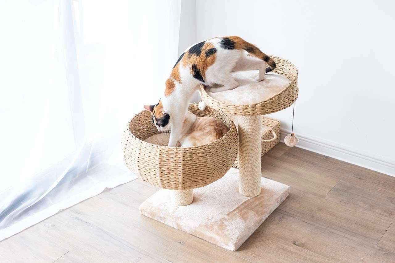 New Paper Rope Natural Bowl Shaped with Perch Cat Tree…